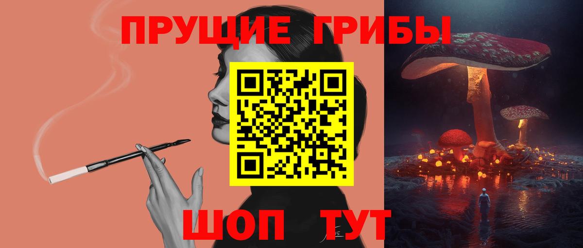 APVP Кинель