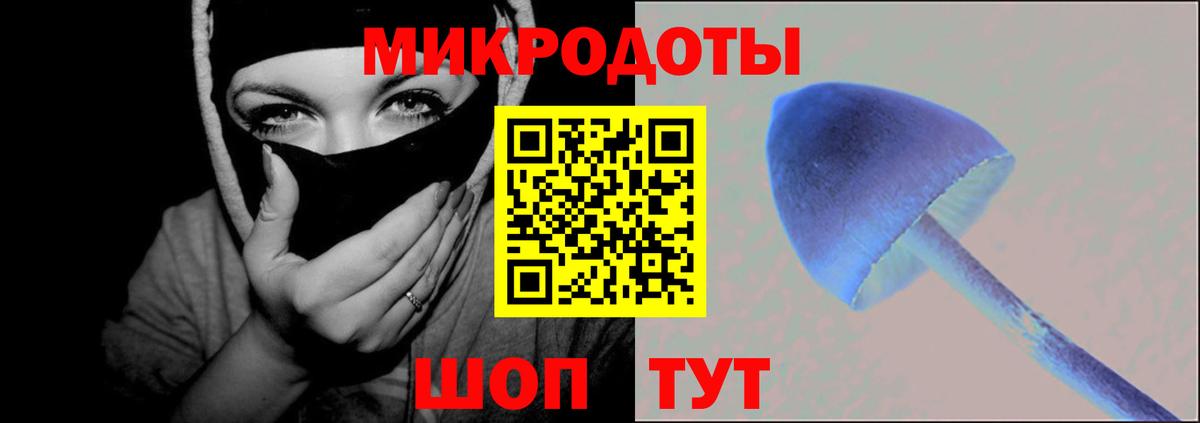 Псилоцибиновые грибы мицелий  Вход с VPN  Кинель 